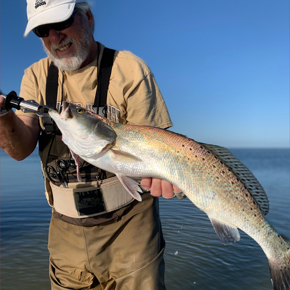 Wreck Em Out Doors Trophy Trout