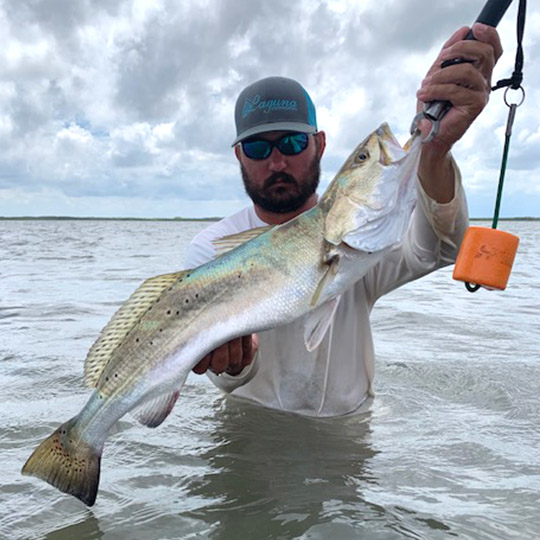 Wreck Em Out Doors Trophy Trout